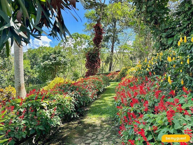 Casa São Gotardo, luxo e natureza conectados